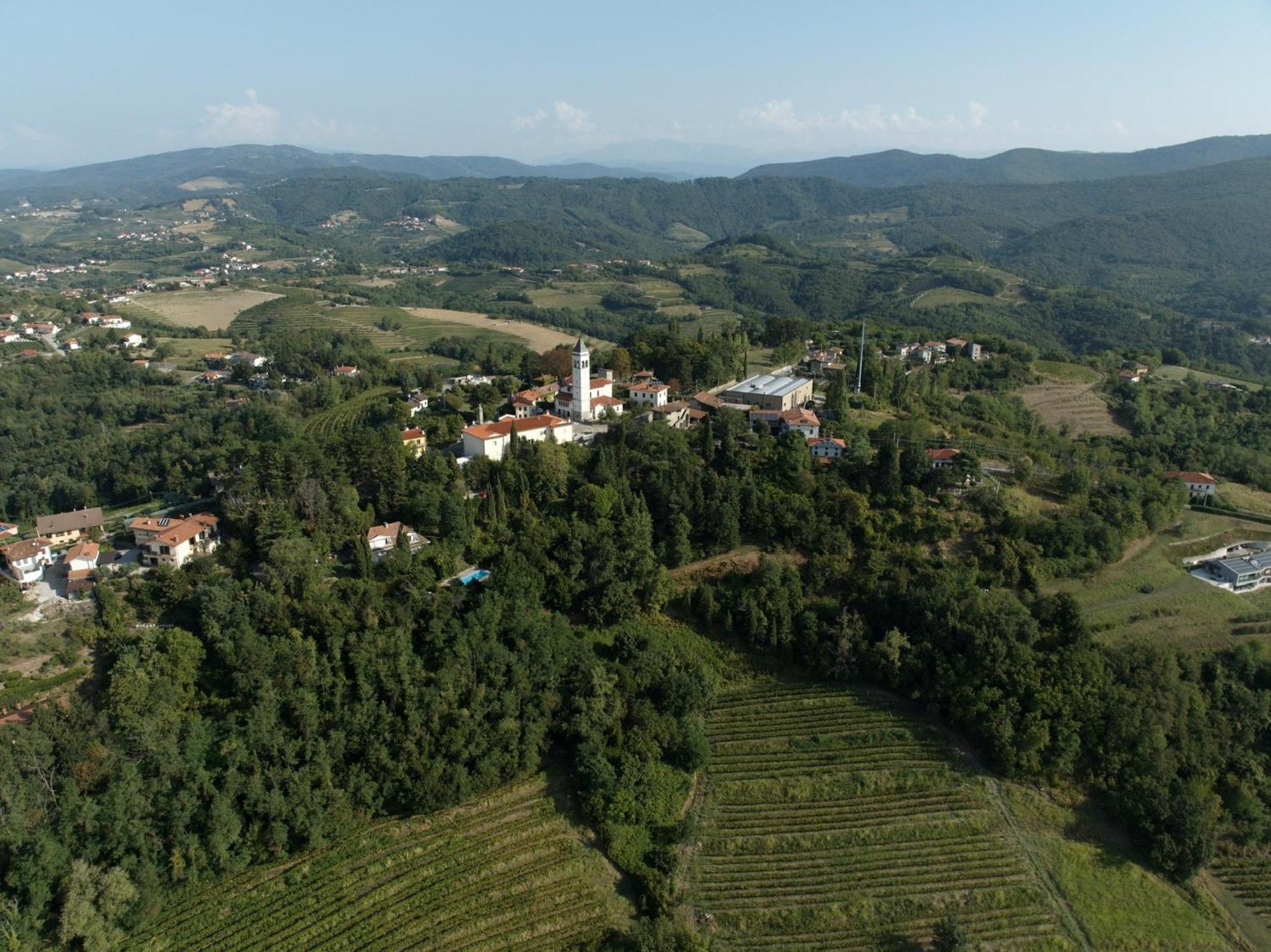 Guest house Conti Formentini San Floriano del Collio